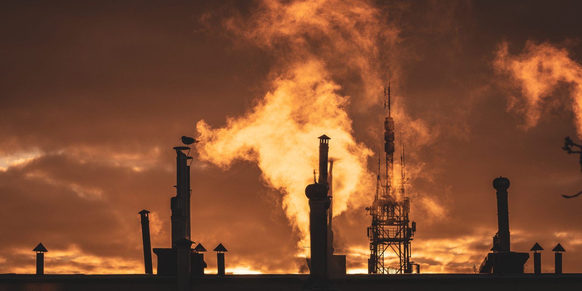 Project team Serik Zhamanbalin, Galymzhan Zhakupov, Nurzhan Karabayev, Yekaterina Nurperzentova, Assem Sabit.